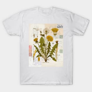 Dandelion Botanical on Antique Postcards T-Shirt